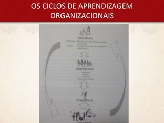 OS CICLOS DE APRENDIZAGEM
ORGANIZACIONAIS