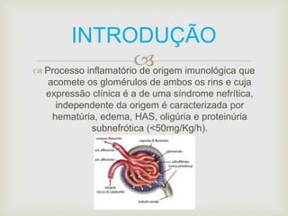 INTRODUÇÃO 
 
 Processo inflamatório de origem imunológica que 
acomete os glomérulos de ambos os rins e cuja 
expressão clínica é a de uma síndrome nefrítica, 
independente da origem é caracterizada por 
hematúria, edema, HAS, oligúria e proteinúria 
subnefrótica (<50mg/Kg/h). 
 