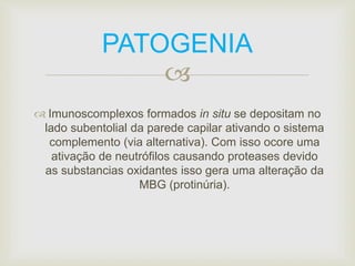 PATOGENIA 
 
 Imunoscomplexos formados in situ se depositam no 
lado subentolial da parede capilar ativando o sistema 
complemento (via alternativa). Com isso ocore uma 
ativação de neutrófilos causando proteases devido 
as substancias oxidantes isso gera uma alteração da 
MBG (protinúria). 
 