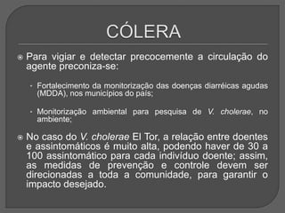  Para vigiar e detectar precocemente a circulação do
agente preconiza-se:
• Fortalecimento da monitorização das doenças diarréicas agudas
(MDDA), nos municípios do país;
• Monitorização ambiental para pesquisa de V. cholerae, no
ambiente;
 No caso do V. cholerae El Tor, a relação entre doentes
e assintomáticos é muito alta, podendo haver de 30 a
100 assintomático para cada indivíduo doente; assim,
as medidas de prevenção e controle devem ser
direcionadas a toda a comunidade, para garantir o
impacto desejado.
 