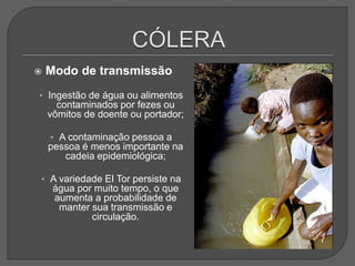  Modo de transmissão
• Ingestão de água ou alimentos
contaminados por fezes ou
vômitos de doente ou portador;
• A contaminação pessoa a
pessoa é menos importante na
cadeia epidemiológica;
• A variedade El Tor persiste na
água por muito tempo, o que
aumenta a probabilidade de
manter sua transmissão e
circulação.
 