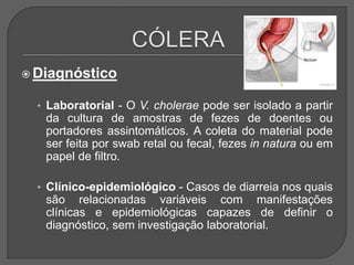 Diagnóstico
• Laboratorial - O V. cholerae pode ser isolado a partir
da cultura de amostras de fezes de doentes ou
portadores assintomáticos. A coleta do material pode
ser feita por swab retal ou fecal, fezes in natura ou em
papel de filtro.
• Clínico-epidemiológico - Casos de diarreia nos quais
são relacionadas variáveis com manifestações
clínicas e epidemiológicas capazes de definir o
diagnóstico, sem investigação laboratorial.
 