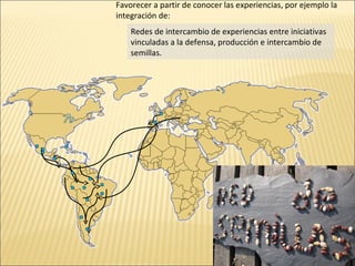 Favorecer a partir de conocer las experiencias, por ejemplo la
integración de:
Redes de intercambio de experiencias entre iniciativas
vinculadas a la defensa, producción e intercambio de
semillas.

 