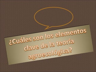 Apresentação Graciela Ottmann   cba agroecologia 2013