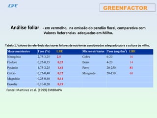 Análise foliar - em vermelho, na emissão do pendão floral, comparativa com
Valores Referencias adequados em Milho.
Macronutrientes Teor (%) LBE Micronutrientes Teor (mg/dm3
) LBE
Nitrogênio 2,75-3,25 2,5 Cobre 6-20 16
Fósforo 0,25-0,35 0,23 Boro 4-20 14
Potássio 1,75-2,25 1,61 Ferro 20-250 81
Cálcio 0,25-0,40 0,22 Manganês 20-150 68
Magnésio 0,25-0,40 0,11
Enxofre 0,10-0,20 0,19
Fonte: Martinez et al. (1999) EMBRAPA
Tabela 1. Valores de referência dos teores foliares de nutrientes considerados adequados para a cultura do milho.
GREENFACTORLBE
 
