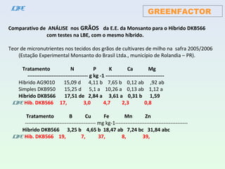 Comparativo de ANÁLISE nos GRÃOS da E.E. da Monsanto para o Híbrido DKB566
com testes na LBE, com o mesmo híbrido.
Teor de micronutrientes nos tecidos dos grãos de cultivares de milho na safra 2005/2006
(Estação Experimental Monsanto do Brasil Ltda., município de Rolandia – PR).
Tratamento N P K Ca Mg
----------------------------------- g kg -1 ----------------------------------
Hibrido AG9010 15,09 d 4,11 b 7,65 b 0,12 ab ,92 ab
Simples DKB950 15,25 d 5,1 a 10,26 a 0,13 ab 1,12 a
Hibrido DKB566 17,51 de 2,84 a 3,61 a 0,31 b 1,59
LBE Hib. DKB566 17, 3,0 4,7 2,3 0,8
Tratamento B Cu Fe Mn Zn
----------------------------------------- mg kg-1------------------------------------------
Hibrido DKB566 3,25 b 4,65 b 18,47 ab 7,24 bc 31,84 abc
LBE Hib. DKB566 19, 7, 37, 8, 39,
GREENFACTORLBE
 