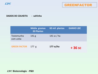 DADOS DE COLHEITA - safrinha
LBE Biotecnologia - P&D
GREENFACTORLBE
Média gramas
20 Plantas
60 mil plantas GANHO LBE
Testemunha
com uréia
141 g 141 sc / ha
GREEN FACTOR 177 g 177 sc/ha
+ 36 sc
 