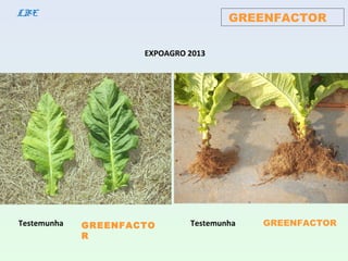 GREENFACTORLBE
GREENFACTO
R
Testemunha
EXPOAGRO 2013
Testemunha GREENFACTOR
 