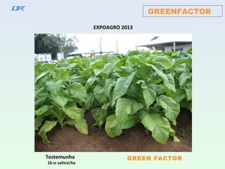 GREENFACTORLBE
Testemunha
10 sc salitre/ha
GREEN FACTOR
EXPOAGRO 2013
 