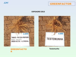 GREENFACTORLBE
GREENFACTO
R
EXPOAGRO 2013
Testemunha
 
