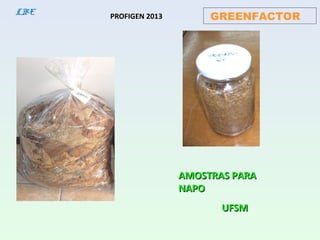 GREENFACTORLBE PROFIGEN 2013
AMOSTRAS PARAAMOSTRAS PARA
NAPONAPO
UFSMUFSM
 
