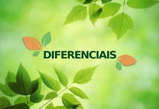 Apresentação Green Valley