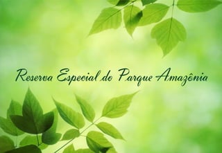 Apresentação Green Valley