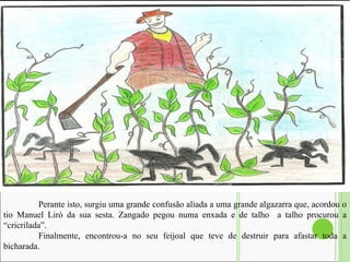 Perante isto, surgiu uma grande confusão aliada a uma grande algazarra que, acordou o tio Manuel Liró da sua sesta. Zangado pegou numa enxada e de talho  a talho procurou a “cricrilada”.  Finalmente, encontrou-a no seu feijoal que teve de destruir para afastar toda a bicharada.   