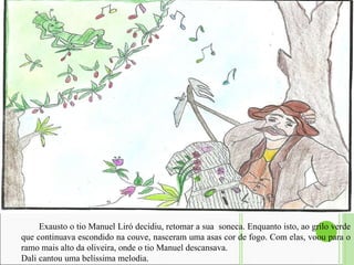 Exausto o tio Manuel Liró decidiu, retomar a sua  soneca. Enquanto isto, ao grilo verde que continuava escondido na couve, nasceram uma asas cor de fogo. Com elas, voou para o ramo mais alto da oliveira, onde o tio Manuel descansava.  Dali cantou uma belíssima melodia.  