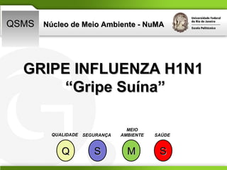 Núcleo de Meio Ambiente - NuMA QSMS Q S M S QUALIDADE SEGURANÇA MEIO AMBIENTE SAÚDE GRIPE INFLUENZA H1N1  “ Gripe Suína” 