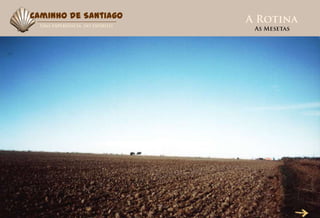 Caminho de Santiago
 