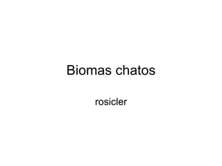 Biomas chatos rosicler 