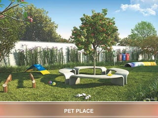 PET PLACE
 