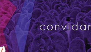 Como redes sociais podem impulsionar Startups