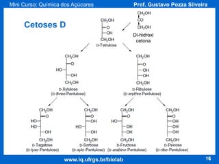 Mini Curso: Química dos Açúcares

Prof. Gustavo Pozza Silveira

Cetoses D
Di-hidroxi
cetona

www.iq.ufrgs.br/biolab

16

 