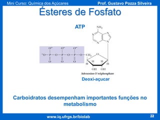 Mini Curso: Química dos Açúcares

Prof. Gustavo Pozza Silveira

Ésteres de Fosfato
ATP

Deoxi-açucar

Carboidratos desempenham importantes funções no
metabolismo
www.iq.ufrgs.br/biolab

22

 