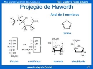 Mini Curso: Química dos Açúcares

Prof. Gustavo Pozza Silveira

Projeção de Haworth
Anel de 5 membros

furano

Fischer

modificada
www.iq.ufrgs.br/biolab

Haworth

simplificada
24

 