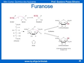 Mini Curso: Química dos Açúcares

Prof. Gustavo Pozza Silveira

Furanose

www.iq.ufrgs.br/biolab

29

 