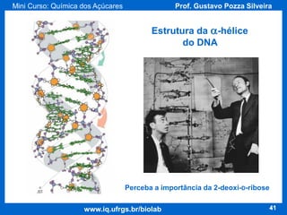 Mini Curso: Química dos Açúcares

Prof. Gustavo Pozza Silveira

Estrutura da a-hélice
do DNA

Perceba a importância da 2-deoxi-D-ribose
www.iq.ufrgs.br/biolab

41

 