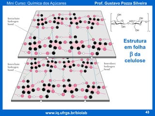 Mini Curso: Química dos Açúcares

Prof. Gustavo Pozza Silveira

Estrutura
em folha
b da
celulose

www.iq.ufrgs.br/biolab

43

 