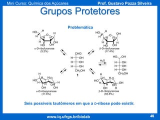 Mini Curso: Química dos Açúcares

Prof. Gustavo Pozza Silveira

Grupos Protetores
Problemática

Seis possíveis tautômeros em que a D-ribose pode existir.

www.iq.ufrgs.br/biolab

46

 