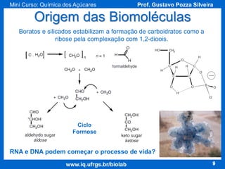 Mini Curso: Química dos Açúcares

Prof. Gustavo Pozza Silveira

Origem das Biomoléculas
Boratos e silicados estabilizam a formação de carboidratos como a
ribose pela complexação com 1,2-dioois.

Ciclo
Formose

RNA e DNA podem começar o processo de vida?
www.iq.ufrgs.br/biolab

9

 