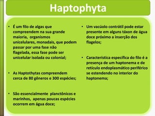 Haptophyta
• É um filo de algas que
compreendem na sua grande
maioria, organismos
unicelulares, monadais, que podem
passar por uma fase não
flagelada, essa fase pode ser
unicelular isolada ou colonial;
• As Haptothytas compreendem
cerca de 80 gêneros e 300 espécies;
• São essencialmente planctônicos e
marinhos, apenas poucas espécies
ocorrem em água doce;

• Um vacúolo contrátil pode estar
presente em alguns táxon de água
doce próximo a inserção dos
flagelos;
• Característica específica do filo é a
presença de um haptonema e de
retículo endoplasmático periférico
se estendendo no interior do
haptonema;

 