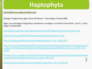 Haptophyta
REFERÊNCIAS BIBLIOGRÁFICAS
Biologia e filogenia das algas / Bruno de Rievers – Porto Alegre: Artmed,2006.
Algas: uma abordagem filogenética, taxonômica e ecológica / Iara Maria Franceschini...[et al.] – Porto
Alegre: Artmed,2010.
http://upload.wikimedia.org/wikipedia/commons/7/70/HaptonemaChrysochromulinaFL.jpg
http://ina.tmsoc.org/CODENET/GuideImages/COcocco/image/119-79.jpg

http://nannotax.org/sites/nannotax.org/files/images/Calc_murr_128-02.JPG
http://ina.tmsoc.org/Nannotax3/iNanno/Coccolithophores/Syracosphaerales/Syracosphaeraceae/Syra
cosphaera/SY%20nodosa%20gp/anthos%20type/Syracosphaera%20anthos/Young_etal_2003_14425.JPG
http://ina.tmsoc.org/Nannotax3/iNanno/Coccolithophores/Zygodiscales/Pontosphaeraceae/Pontosph
aera/Pontosphaera%20discopora/Young_unpubl_278-15.JPG
http://nannotax.org/sites/nannotax.org/files/images/Pont_syrac_170-16.JPG

 