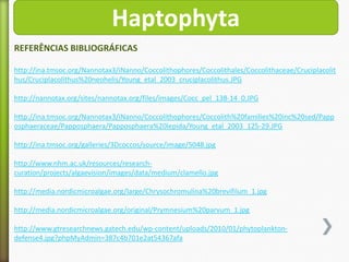 Haptophyta
REFERÊNCIAS BIBLIOGRÁFICAS
http://ina.tmsoc.org/Nannotax3/iNanno/Coccolithophores/Coccolithales/Coccolithaceae/Cruciplacolit
hus/Cruciplacolithus%20neohelis/Young_etal_2003_cruciplacolithus.JPG

http://nannotax.org/sites/nannotax.org/files/images/Cocc_pel_138-14_0.JPG
http://ina.tmsoc.org/Nannotax3/iNanno/Coccolithophores/Coccolith%20families%20inc%20sed/Papp
osphaeraceae/Papposphaera/Papposphaera%20lepida/Young_etal_2003_125-29.JPG
http://ina.tmsoc.org/galleries/3Dcoccos/source/image/5048.jpg
http://www.nhm.ac.uk/resources/researchcuration/projects/algaevision/images/data/medium/clamello.jpg
http://media.nordicmicroalgae.org/large/Chrysochromulina%20brevifilum_1.jpg
http://media.nordicmicroalgae.org/original/Prymnesium%20parvum_1.jpg
http://www.gtresearchnews.gatech.edu/wp-content/uploads/2010/01/phytoplanktondefense4.jpg?phpMyAdmin=387c4b701e2at54367afa

 