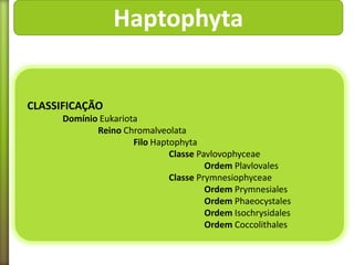 Haptophyta

CLASSIFICAÇÃO
Domínio Eukariota
Reino Chromalveolata
Filo Haptophyta
Classe Pavlovophyceae
Ordem Plavlovales
Classe Prymnesiophyceae
Ordem Prymnesiales
Ordem Phaeocystales
Ordem Isochrysidales
Ordem Coccolithales

 
