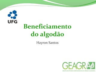 Beneficiamento
do algodão
Hayron Santos
 