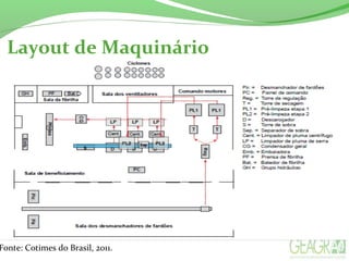 Layout de Maquinário
Fonte: Cotimes do Brasil, 2011.
 