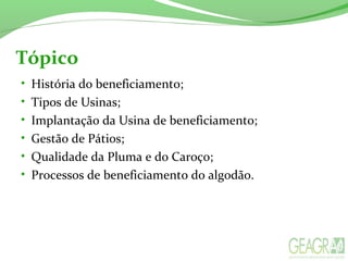 Tópico
• História do beneficiamento;
• Tipos de Usinas;
• Implantação da Usina de beneficiamento;
• Gestão de Pátios;
• Qualidade da Pluma e do Caroço;
• Processos de beneficiamento do algodão.
 