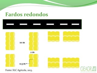Fardos redondos
10 m
2 m
0,5 m
Fonte: SLC Agrícola, 2013.
 