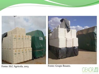 Fonte: Grupo Busato.Fonte: SLC Agrícola, 2013.
 