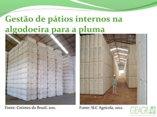 Gestão de pátios internos na
algodoeira para a pluma
Fonte: SLC Agrícola, 2012.Fonte: Cotimes do Brasil, 2011.
 