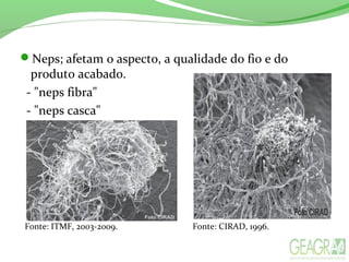 Neps; afetam o aspecto, a qualidade do fio e do
produto acabado.
- "neps fibra"
- "neps casca"
Fonte: CIRAD, 1996.Fonte: ITMF, 2003-2009.
 
