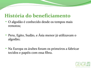 História do beneficiamento
• O algodão é conhecido desde os tempos mais
remotos;
• Peru, Egito, Sudão, e Ásia menor já utilizavam o
algodão;
• Na Europa os árabes foram os primeiros a fabricar
tecidos e papéis com essa fibra.
 