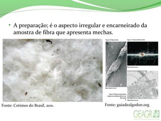 • A preparação; é o aspecto irregular e encarneirado da
amostra de fibra que apresenta mechas.
Fonte: Cotimes do Brasil, 2011. Fonte: guiadealgodon.org
 