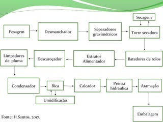 Pesagem Desmanchador
Umidificação
Batedores de rolos
Separadores
gravimétricos Torre secadora
Secagem
AramaçãoBica
Descaroçador
Extrator
Alimentador
Condensador Calcador
Embalagem
Prensa
hidráulica
Limpadores
de pluma
Fonte: H.Santos, 2017.
 