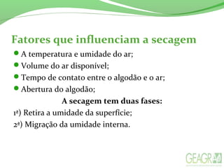 Fatores que influenciam a secagem
A temperatura e umidade do ar;
Volume do ar disponível;
Tempo de contato entre o algodão e o ar;
Abertura do algodão;
A secagem tem duas fases:
1ª) Retira a umidade da superfície;
2ª) Migração da umidade interna.
 