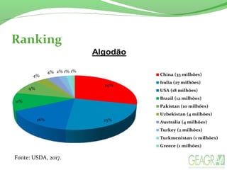 Ranking
Fonte: USDA, 2017.
 