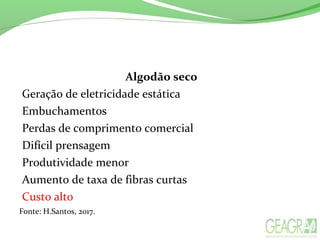 Algodão seco
Geração de eletricidade estática
Embuchamentos
Perdas de comprimento comercial
Difícil prensagem
Produtividade menor
Aumento de taxa de fibras curtas
Custo alto
Fonte: H.Santos, 2017.
 