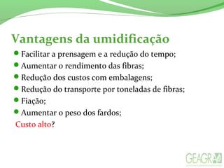 Vantagens da umidificação
Facilitar a prensagem e a redução do tempo;
Aumentar o rendimento das fibras;
Redução dos custos com embalagens;
Redução do transporte por toneladas de fibras;
Fiação;
Aumentar o peso dos fardos;
Custo alto?
 